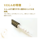 【NEW】Vega Professional Roll Brush
