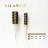 【NEW】Vega Professional Roll Brush