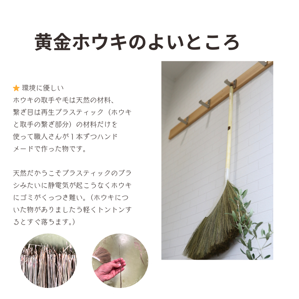 黄金ホウキ – POCKE