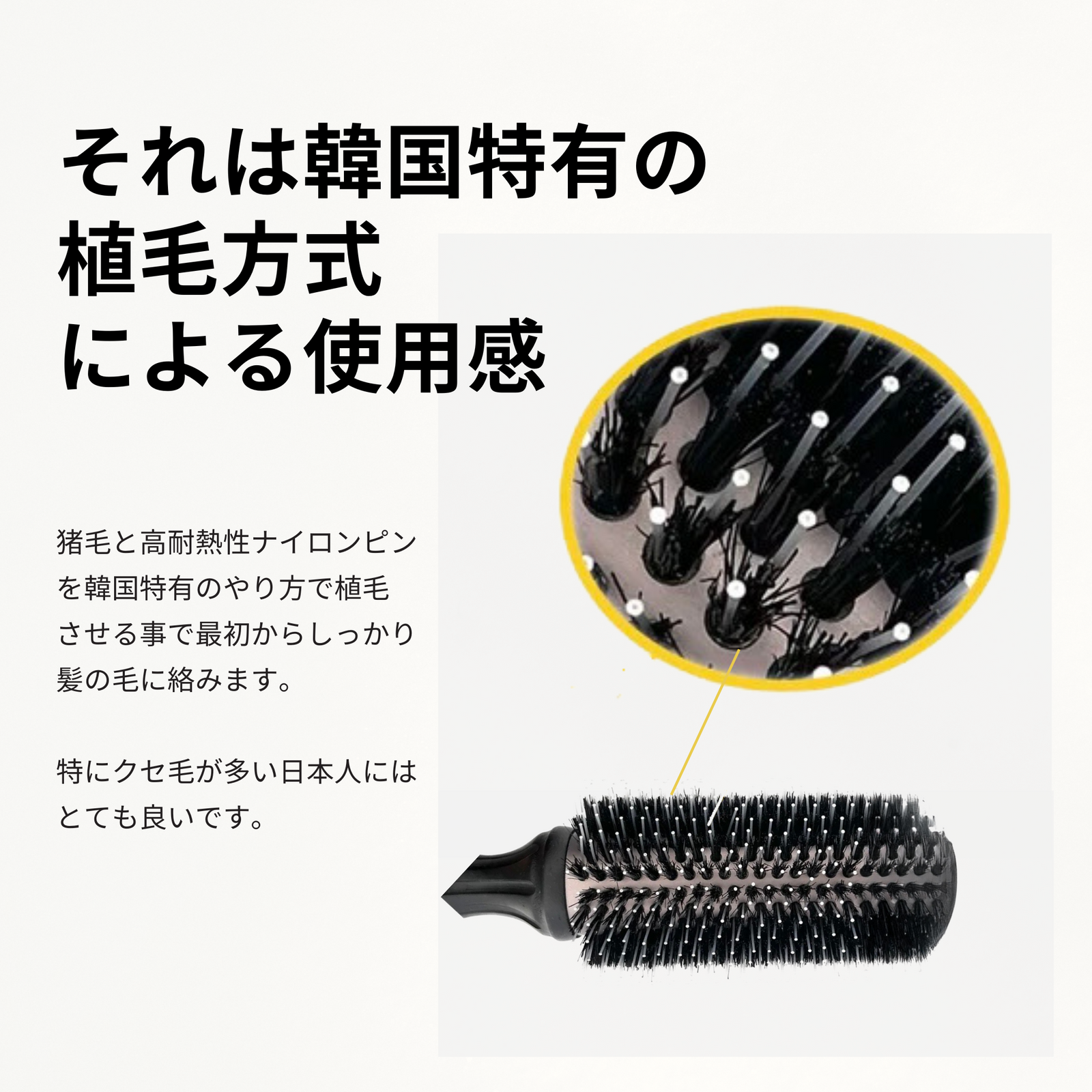 BLACK TAN HAIR ロールブラシ (2号 4号 7号) BLACK TAN HAIR ロールブラシ (2号 4号 7号)