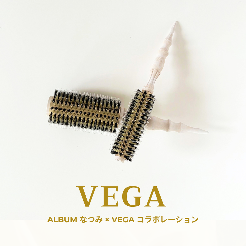 NEW】Vega Professional Roll Brush – POCKE