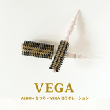 【NEW】Vega Professional Roll Brush