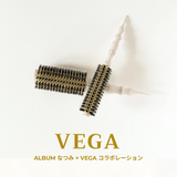 【NEW】Vega Professional Roll Brush