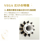 【NEW】Vega Professional Roll Brush