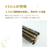 【NEW】Vega Professional Roll Brush