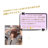 【NEW】Vega Professional Roll Brush