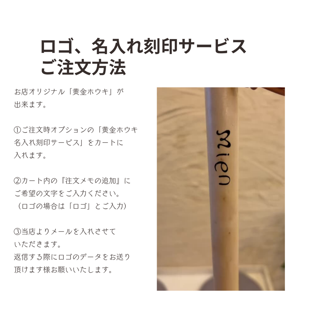 ブラックタンロールブラシ – POCKE
